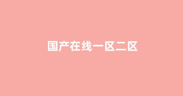 国产一区二区精品
